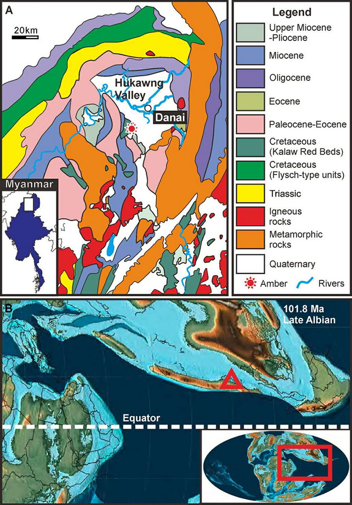 缅甸琥珀矿的地质图（A）和古地理图（B）