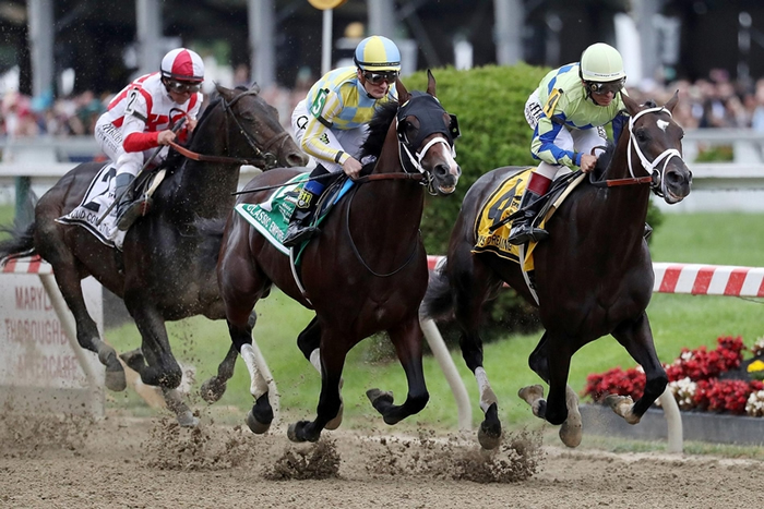 赛马──像在照片里看到的这些马儿，正在马里兰州巴尔的摩（Baltimore, Maryland）2017年的普里克尼斯赛马（Preakness Stakes）中
