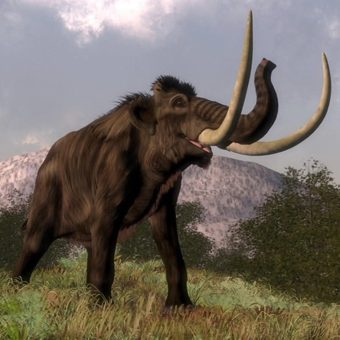 古生物学家相信乳齿象（图）于约1万年前灭绝。