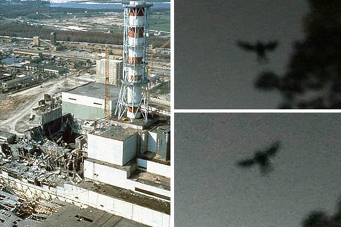 “切尔诺贝利黑鸟”！切尔诺贝利核电站发生事故前曾出现“神秘生物”？