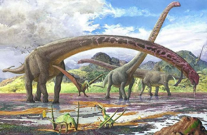 体型巨大的蜥脚类恐龙，是代表性的巨型化的恐龙类群