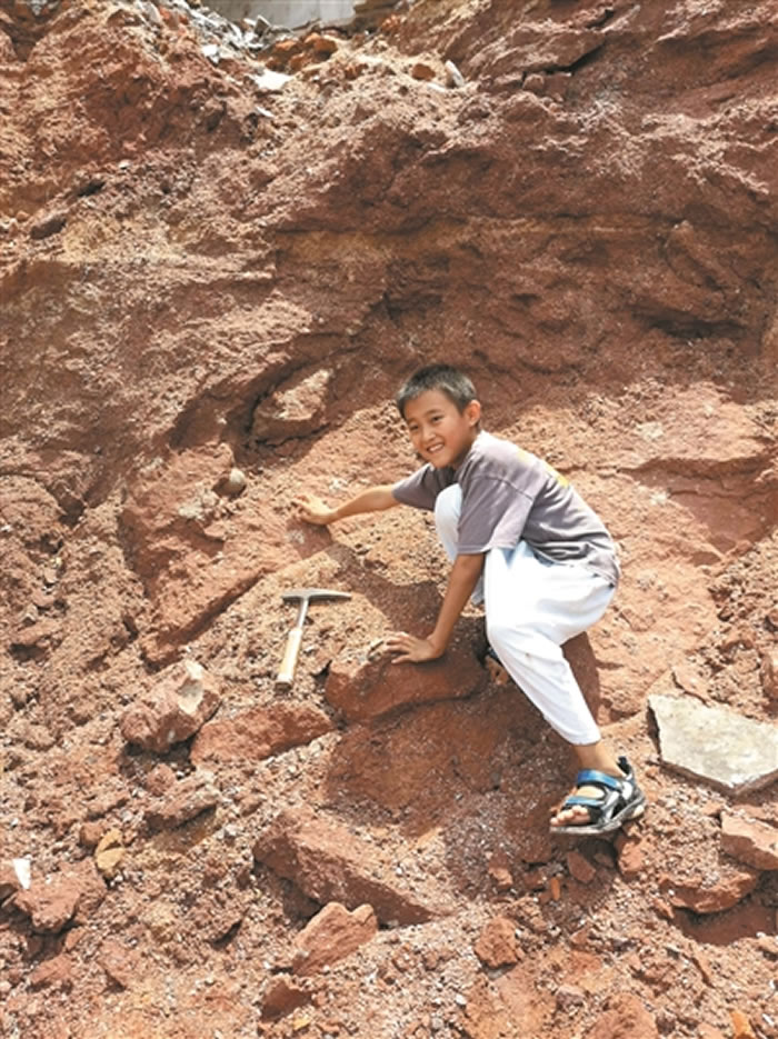 广东省河源市小学生河边游玩意外发现一窝6500万年前白垩纪晚期“恐龙蛋”化石