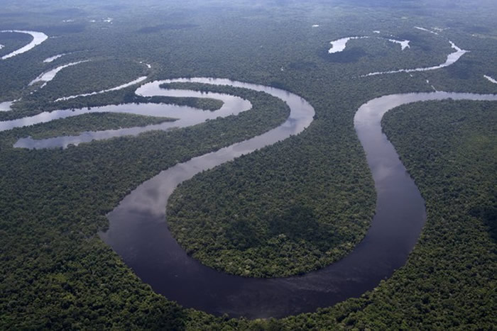 波索纳洛希望进一步开发亚马逊雨林。