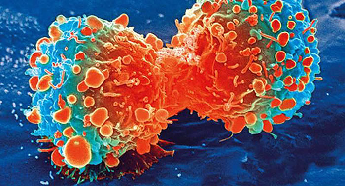 伦敦帝国理工学院科学家创造出人造抗癌细胞