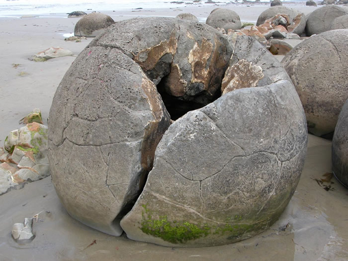 恐龙蛋化石、外星人遗物还是古人类留下的？新西兰南岛摩拉基小渔村海滩上的奇怪石头