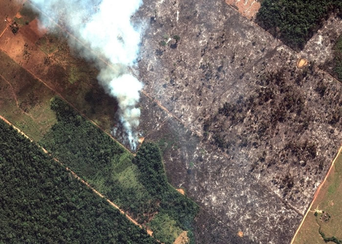 马克龙吁G7讨论巴西亚马逊森林大火 博尔索纳罗：“殖民主义心态”在炒作