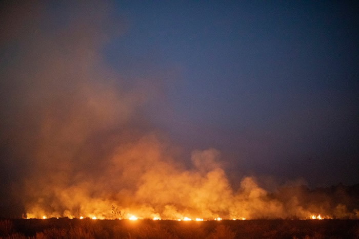 巴西亚马逊森林大火仍未扑灭 再有数百个新火头涌现