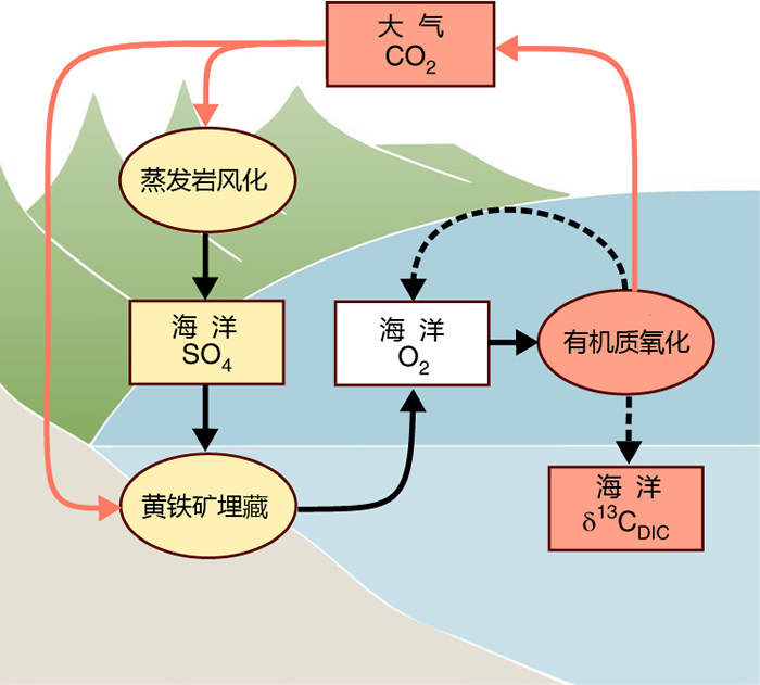 蒸发岩风化与海洋有机碳库氧化的正反馈模型图