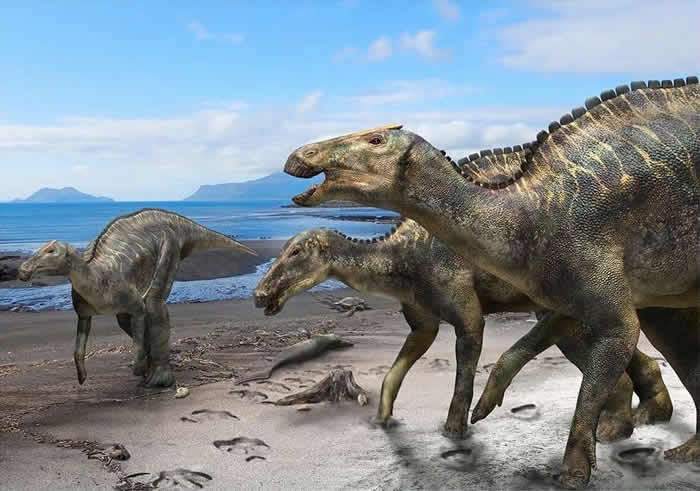 日本北海道Hakobuchi地层海相沉积中发现晚白垩世鸭嘴龙新属种Kamuysaurus japonicus