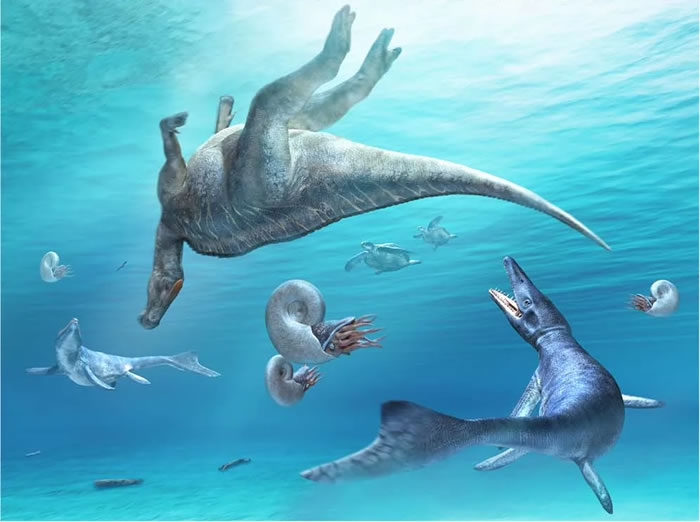 日本北海道Hakobuchi地层海相沉积中发现晚白垩世鸭嘴龙新属种Kamuysaurus japonicus