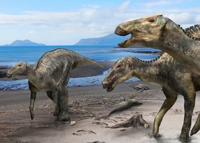 神威龙有别其他恐龙，或罕见地沿海栖息。