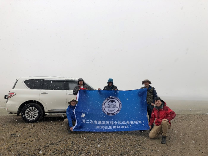 科考队员在西藏措勤县考察二叠纪地层