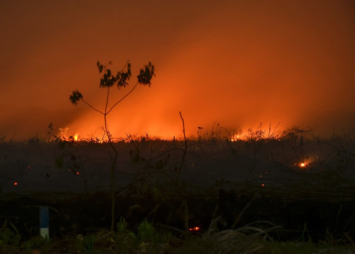 印尼多个雨林陷火海 大火释毒雾笼罩东南亚