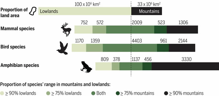 山地对全球生物多样性的重要性，脊椎动物物种就是例证。