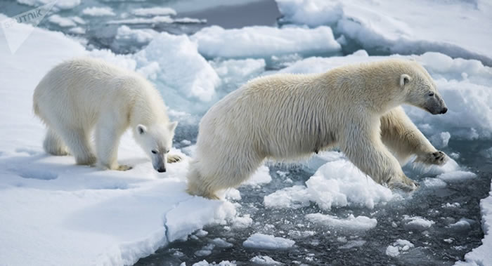 来自俄罗斯和美国的科学家将参加第三届“北极熊宇宙”国际科学实践会议