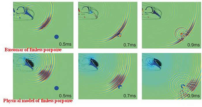 江豚生物声呐及其物理模型对水下目标进行探测
