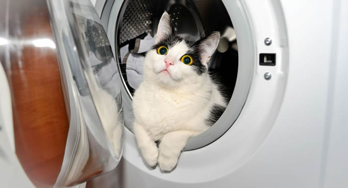 在洗衣机中使用节约模式可能会对人体健康构成威胁