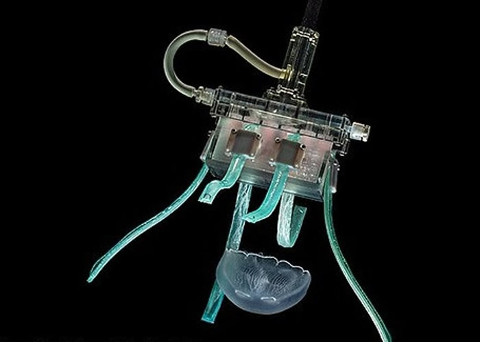 美国哈佛大学工程师团队研发“水母机器人” 有助捕捉水母研究