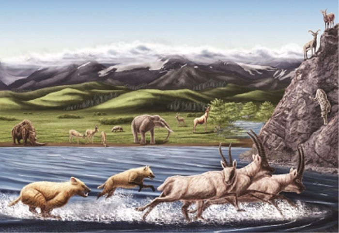 上新世（距今约四五百万年前）西藏阿里地区札达动物群生态复原图