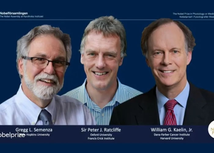 2019年度诺贝尔奖医学奖：William G. Kaelin Jr等3学者研究细胞感知氧气机制获奖