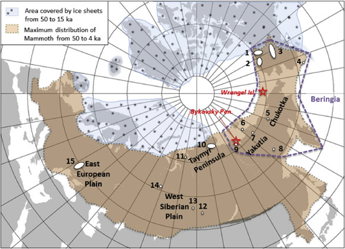 新研究指出猛犸象最后出现的位置：北冰洋的弗兰格尔岛