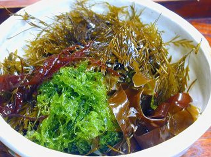 日本筑波大学和国立癌症研究中心研究发现：常吃海藻能预防心肌梗塞