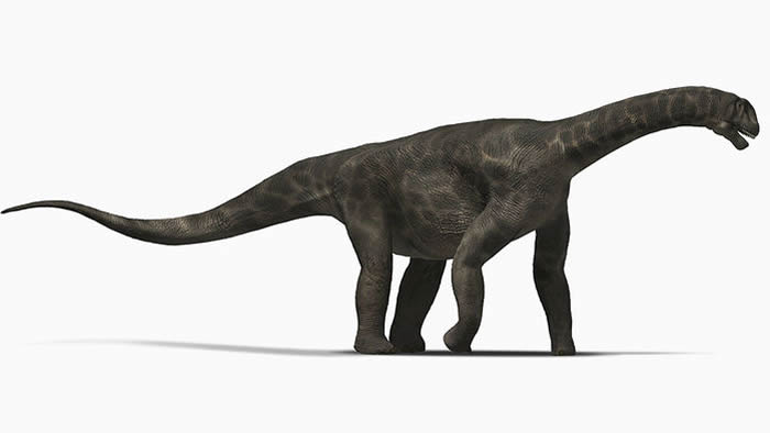 巨大的蜥脚类恐龙可能长有类似鸟类或海龟的喙