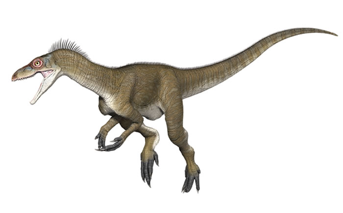 古生物学的很多内容都来自主观的描述和假设，比如始盗龙的“抓握前肢”与后来的兽脚亚目恐龙或蜥脚类恐龙之间到底有多大的相似性