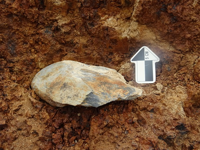 贺家岭遗址发现的石器