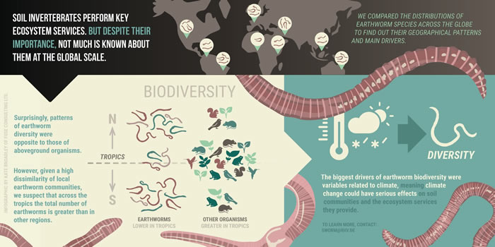 全球范围内土壤中的蚯蚓群落可能会受到持续性气候改变的重大影响