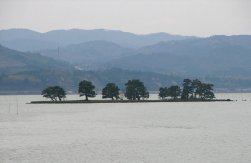 新烟碱类杀虫剂的使用可能导致了日本宍道湖的商业渔场在1993年突然崩溃