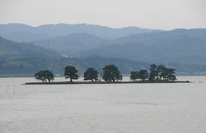 新烟碱类杀虫剂的使用可能导致了日本宍道湖的商业渔场在1993年突然崩溃