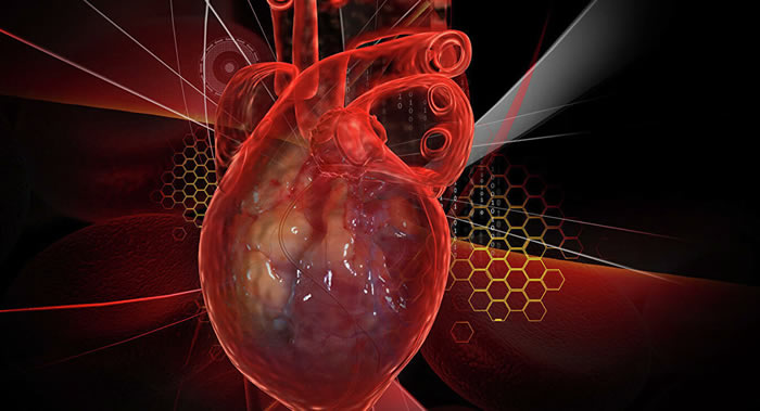 美国专家发现早期心脏疾病征兆会发出癌症警告