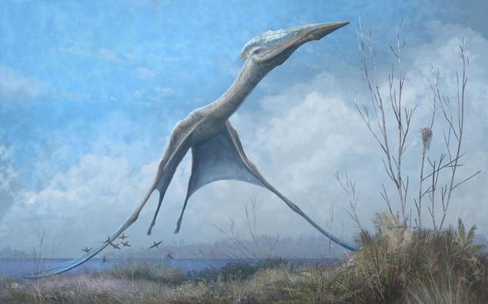 插画中一只神龙翼龙（azhdarchid）飞翔于罗马尼亚。 火灾后从巴西国家博物馆找回的化石显示，与画中同类的飞行爬型动物也曾经在白垩纪晚期的南极天空中翱翔。