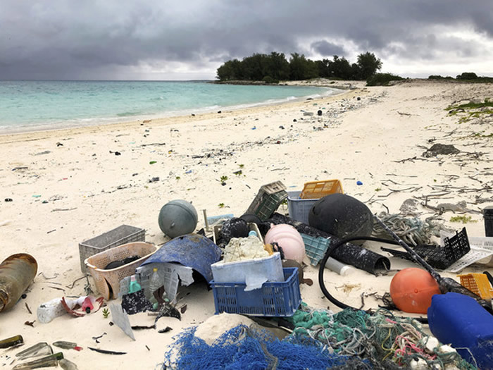 “海鸟天堂”中途岛变大型海鸟墓园 尸体内全是塑胶垃圾