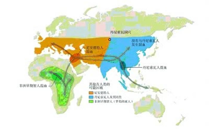 约4.5万年前进入欧洲，约10万-7万年前走出非洲，约2万-1.5万年前进入北美洲，约5万年前到达澳大利亚，约1.5万年前到达南美洲，早期现代人的迁徙路线示意图