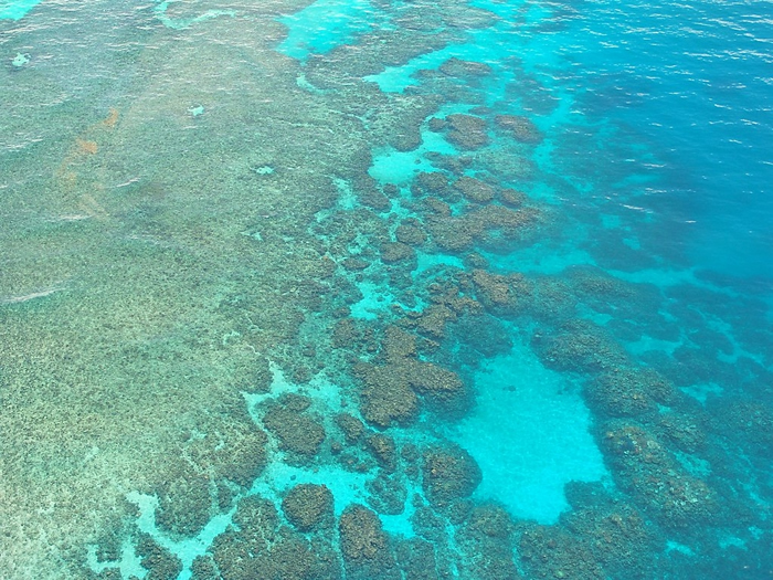 科学家质疑，澳洲大堡礁因主管机关玩忽职守而受到有毒物质污染。 来源：Gaby Stein/Pixabay免费图库
