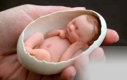 世界上存活下来的最早产最袖珍的婴儿，看上去仿佛是个假娃娃