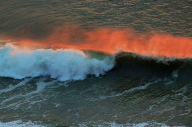 英国业余摄影师Peter Staddon拍摄的海面“起火”奇观