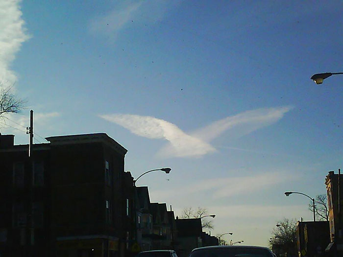 有稀薄的白云像一只飞鹰。