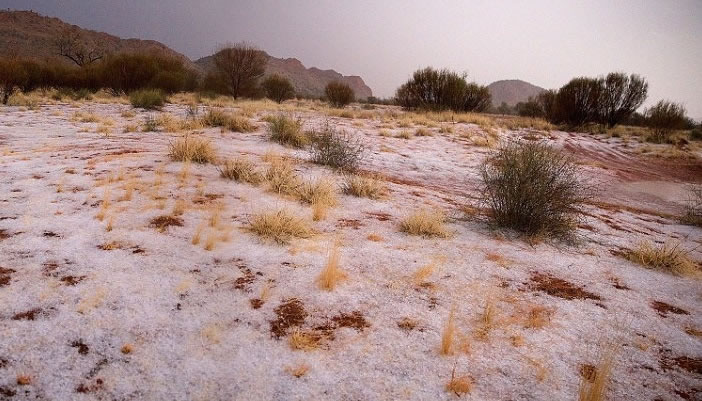 沙漠地面看似被白雪覆盖