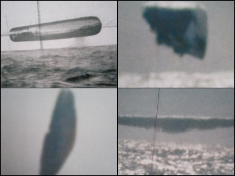 有人认为，所有照片中的UFO，其实是同一只飞船，只是它拥有随意变形的能力。