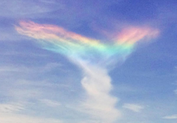 南卡州罕见的“火焰彩虹”