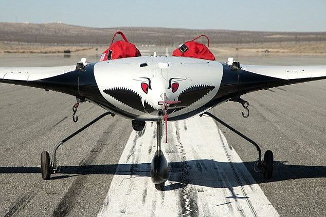 X-56A的测试目的，主要是为了试验“空中伺服塑料技术”。