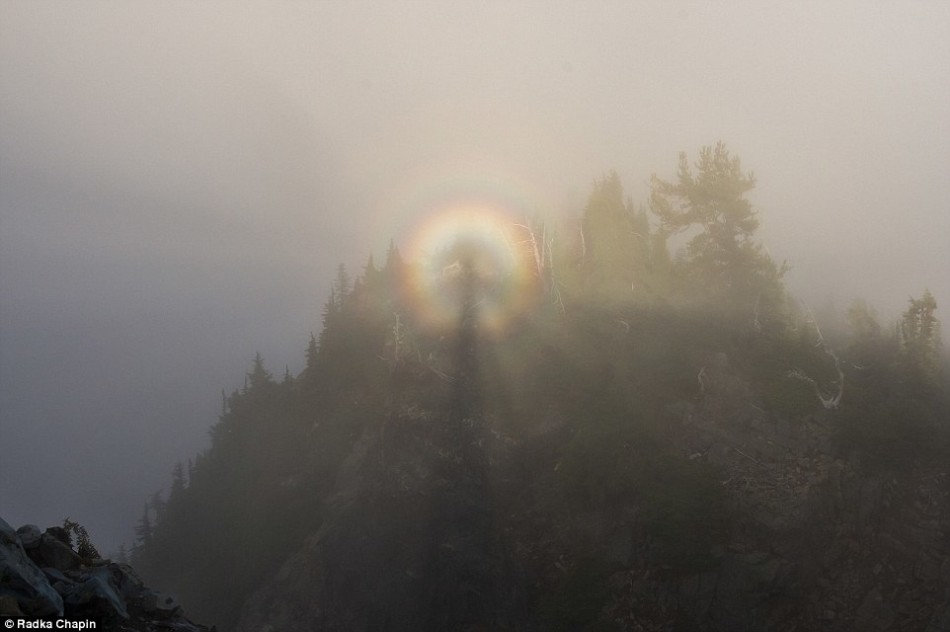 游客在美国瑞尼尔山国家公园内拍摄到“布罗肯幽灵”（Brocken Spectre）“佛光”