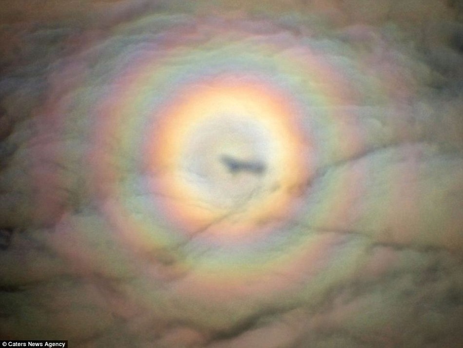 有时候在飞机上也会观察到下方云层上出现包括飞机阴影的光环现象。俄罗斯摄影师Alexey Zolotnycyn在离开莫斯科机场后不久，成功地透过飞机窗口拍摄到这张