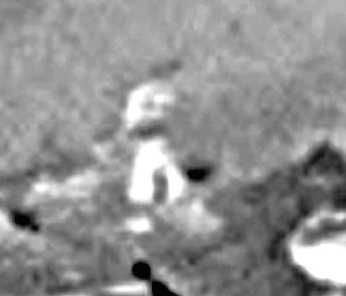 UFO专家Scott C.Waring称从“好奇号”拍下的照片中发现火星“外星人”