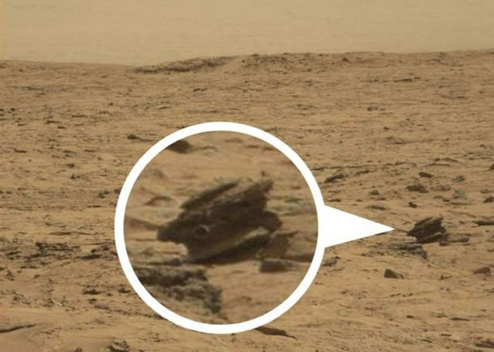 从这张照片上可见火星表面有一块形状奇异的「石头」