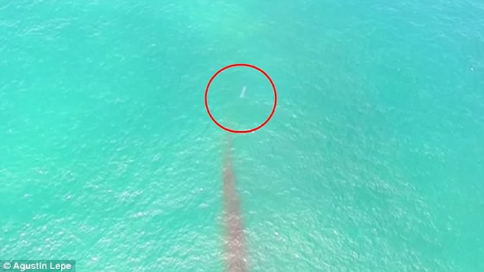 图中的白色UFO高速朝向海面飞行，在即将潜入海水时突然停止下来。