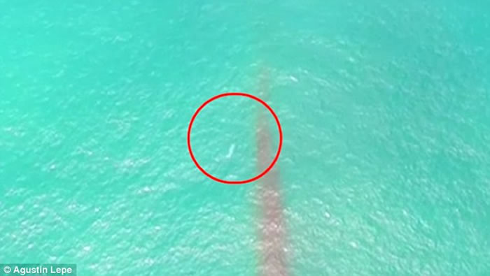 这个神秘UFO突然改变方向，在水面上飞行。